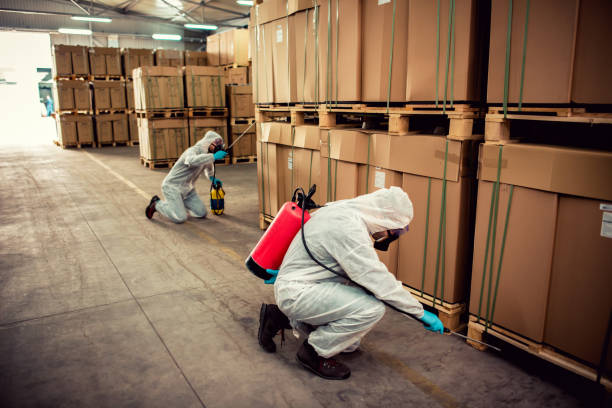 Best Pest Inspection Near Me  in Brooklyn Heights, OH