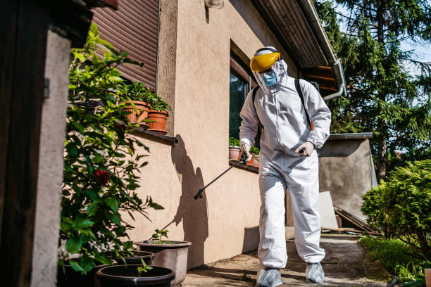 Best Wasp Removal Services  in Brooklyn Heights, OH