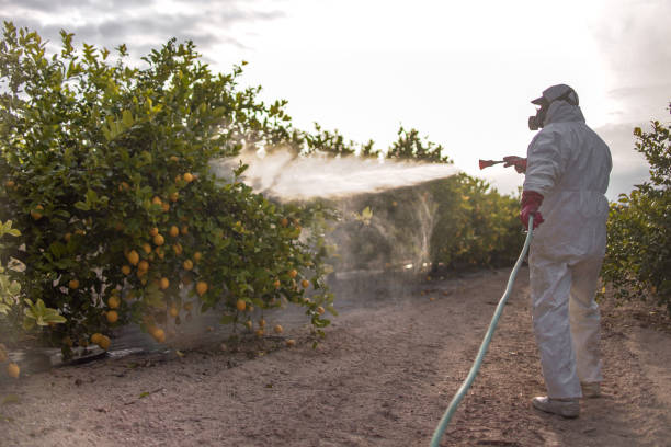 Best Pest Control Near Me in Brooklyn Heights, OH
