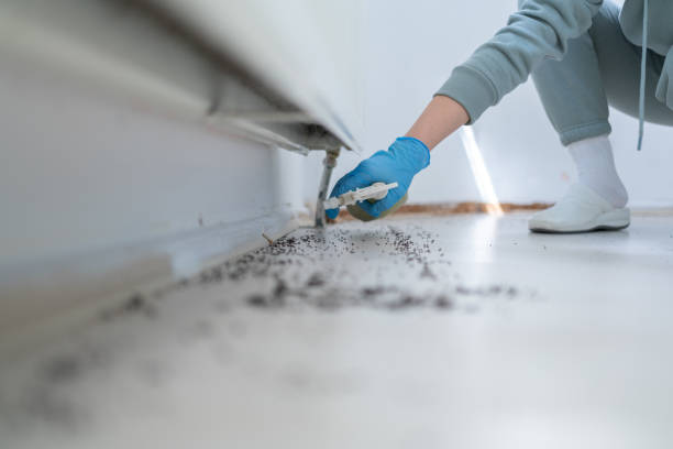 Best Pest Control Treatment  in Brooklyn Heights, OH